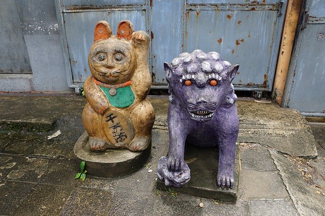 Free download China Cat Asia -  free photo or picture to be edited with GIMP online image editor