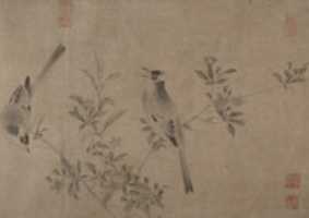 Free download Chinese Bulbuls on Flowering Cherry-Apple free photo or picture to be edited with GIMP online image editor