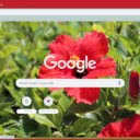 Chinese Hibiscus  screen for extension Chrome web store in OffiDocs Chromium