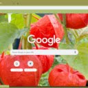 Chinese Lantern  screen for extension Chrome web store in OffiDocs Chromium