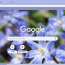 Chionodoxa  screen for extension Chrome web store in OffiDocs Chromium