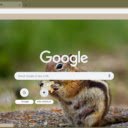 Chipmunk  screen for extension Chrome web store in OffiDocs Chromium