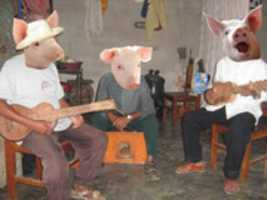 Free download chiqueroJARANA free photo or picture to be edited with GIMP online image editor