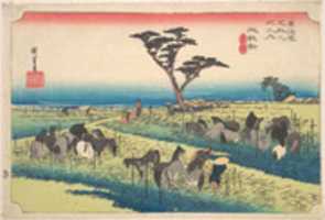 Free download Chiryu, Shuka Uma Ichi free photo or picture to be edited with GIMP online image editor