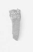 Free download Chisel Fragment From Foundation Deposit 2 of Hatshepsuts Valley Temple free photo or picture to be edited with GIMP online image editor