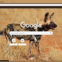 Cho Hoang  screen for extension Chrome web store in OffiDocs Chromium