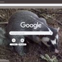 Chon bac ma  screen for extension Chrome web store in OffiDocs Chromium