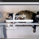 Chon rung  screen for extension Chrome web store in OffiDocs Chromium