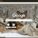 Cho soi  screen for extension Chrome web store in OffiDocs Chromium