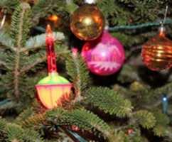 Free download Christmas Bubble free photo or picture to be edited with GIMP online image editor
