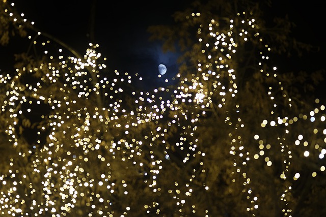 Gratis download kerstverlichting nacht kerst gratis foto om te bewerken met GIMP gratis online afbeeldingseditor