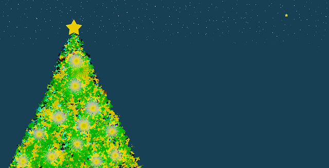 Baixe grátis Christmas Tree Fir - foto ou imagem grátis para ser editada com o editor de imagens online GIMP