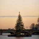 Christmas tree on the river in front of a bridge  screen for extension Chrome web store in OffiDocs Chromium