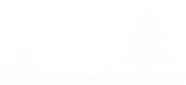 Free download Christmas Tree Winter Holidays -  free illustration to be edited with GIMP free online image editor