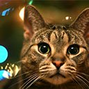 מסך ערכת הנושא של חתול חג המולד להרחבה של חנות האינטרנט של Chrome ב-OffiDocs Chromium