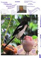 Free download Christopher L G Hill A Nu Word Order Is Pozible 2015 free photo or picture to be edited with GIMP online image editor