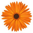 chrysanthemum  screen for extension Chrome web store in OffiDocs Chromium