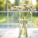 Chrysanthemum vase  screen for extension Chrome web store in OffiDocs Chromium
