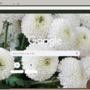 Chrysanthemum White  screen for extension Chrome web store in OffiDocs Chromium