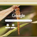 Chuon Vang  screen for extension Chrome web store in OffiDocs Chromium