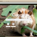 Chuot canh dong  screen for extension Chrome web store in OffiDocs Chromium