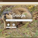 Chuot nui  screen for extension Chrome web store in OffiDocs Chromium