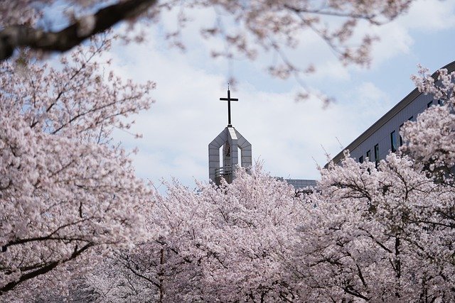 Free download church flowers trees blossom free picture to be edited with GIMP free online image editor