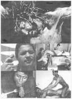 Free download Church of Euthanasia posters free photo or picture to be edited with GIMP online image editor
