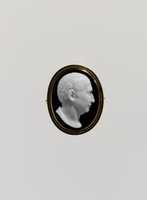 Free download Cicero free photo or picture to be edited with GIMP online image editor
