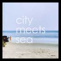 Free download CITY MEETS SEA/Michelle Zassenhaus with Introduction by Martine Bisagni/Workshop Gallery Artists Foundationntroduction for Michelle Zassenhauss CITY MEETS SEA: Memorys Edge by Martine Bisagni free photo or picture to be edited with GIMP online image editor