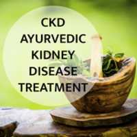 Free download CKD Ayurvedic Kidney Disease Treatment free photo or picture to be edited with GIMP online image editor