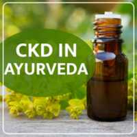 Free download CKD In Ayurveda free photo or picture to be edited with GIMP online image editor