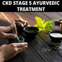 Free download Ckd Stage 5 Ayurvedic Treatment free photo or picture to be edited with GIMP online image editor
