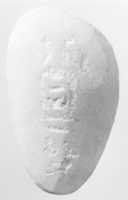Free download Clam-shell-shaped Hammer from a Foundation Deposit, KV 42 free photo or picture to be edited with GIMP online image editor