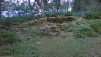 Free download Clan MacGregor burial ground in inchcailloch Loch Lomond free photo or picture to be edited with GIMP online image editor