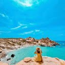 Cù Lao Câu Island – A Hidden Gem of Pristine Beauty  screen for extension Chrome web store in OffiDocs Chromium