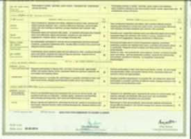 Free download Class X Marksheet 1 free photo or picture to be edited with GIMP online image editor