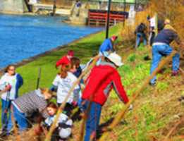 Free download Cleansweep Volunteers Lyons free photo or picture to be edited with GIMP online image editor