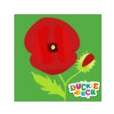 Clean Up Games Meadow at Duckie Deck Games  screen for extension Chrome web store in OffiDocs Chromium