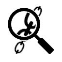 Clear Links  screen for extension Chrome web store in OffiDocs Chromium