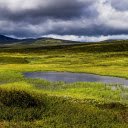 Clear puddle on grassland  screen for extension Chrome web store in OffiDocs Chromium