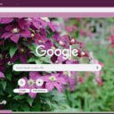 Clematis  screen for extension Chrome web store in OffiDocs Chromium