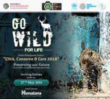 Free download Click, Conserve And Care 2016 free photo or picture to be edited with GIMP online image editor