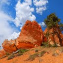 Cliffs and lonely trees  screen for extension Chrome web store in OffiDocs Chromium