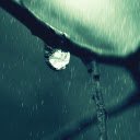 Clinging Raindrop  screen for extension Chrome web store in OffiDocs Chromium