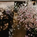 Close Up Shot of Blooming Pink Flowers  screen for extension Chrome web store in OffiDocs Chromium