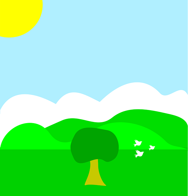 免费下载 云鸽 鸟类 - 免费矢量图形Pixabay 免费插图，可使用GIMP 进行编辑 免费在线图像编辑器
