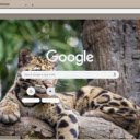 Clouded Leopard  screen for extension Chrome web store in OffiDocs Chromium