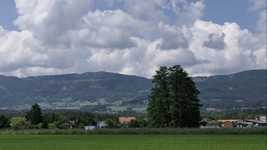 Free download Clouds Tree Mountain -  free video to be edited with OpenShot online video editor
