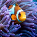 Clownfish  screen for extension Chrome web store in OffiDocs Chromium